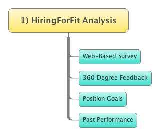 HiringForFit Analysis