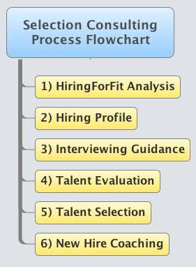 Selection Consulting Process